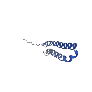 10472_6tdz_O_v1-0
Cryo-EM structure of Euglena gracilis mitochondrial ATP synthase, OSCP/F1/c-ring, rotational state 2