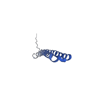 10472_6tdz_Q_v1-0
Cryo-EM structure of Euglena gracilis mitochondrial ATP synthase, OSCP/F1/c-ring, rotational state 2