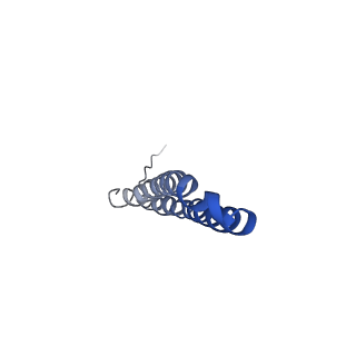 10472_6tdz_R_v1-0
Cryo-EM structure of Euglena gracilis mitochondrial ATP synthase, OSCP/F1/c-ring, rotational state 2