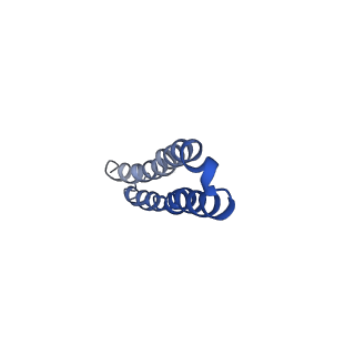 10472_6tdz_S_v1-0
Cryo-EM structure of Euglena gracilis mitochondrial ATP synthase, OSCP/F1/c-ring, rotational state 2