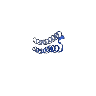 10472_6tdz_T_v1-0
Cryo-EM structure of Euglena gracilis mitochondrial ATP synthase, OSCP/F1/c-ring, rotational state 2