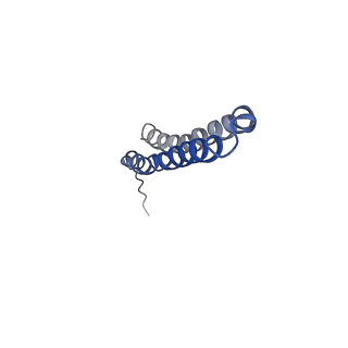 10472_6tdz_U_v1-0
Cryo-EM structure of Euglena gracilis mitochondrial ATP synthase, OSCP/F1/c-ring, rotational state 2