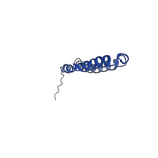 10472_6tdz_V_v1-0
Cryo-EM structure of Euglena gracilis mitochondrial ATP synthase, OSCP/F1/c-ring, rotational state 2