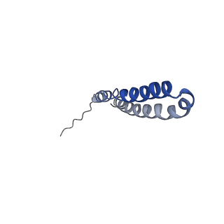 10472_6tdz_W_v1-0
Cryo-EM structure of Euglena gracilis mitochondrial ATP synthase, OSCP/F1/c-ring, rotational state 2