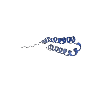 10472_6tdz_X_v1-0
Cryo-EM structure of Euglena gracilis mitochondrial ATP synthase, OSCP/F1/c-ring, rotational state 2