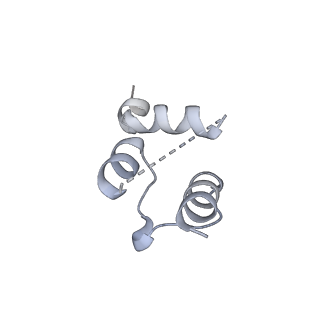 10472_6tdz_c_v1-0
Cryo-EM structure of Euglena gracilis mitochondrial ATP synthase, OSCP/F1/c-ring, rotational state 2