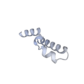 10472_6tdz_h_v1-0
Cryo-EM structure of Euglena gracilis mitochondrial ATP synthase, OSCP/F1/c-ring, rotational state 2