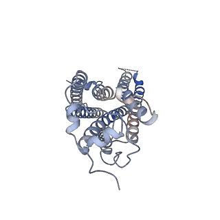 25820_7td1_R_v1-1
Lysophosphatidic acid receptor 1-Gi complex bound to LPA, state a