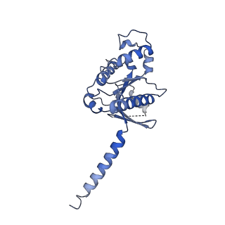 25821_7td2_A_v1-1
Lysophosphatidic acid receptor 1-Gi complex bound to LPA, state a