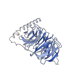 25821_7td2_B_v1-1
Lysophosphatidic acid receptor 1-Gi complex bound to LPA, state a