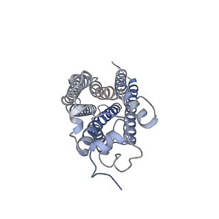 25821_7td2_R_v1-1
Lysophosphatidic acid receptor 1-Gi complex bound to LPA, state a
