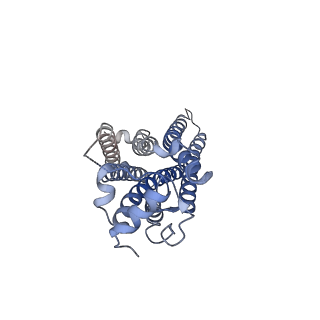 25822_7td3_R_v1-1
Sphingosine-1-phosphate receptor 1-Gi complex bound to S1P
