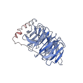 25823_7td4_B_v1-1
Sphingosine-1-phosphate receptor 1-Gi complex bound to Siponimod