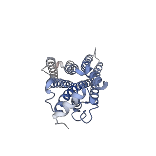 25823_7td4_R_v1-1
Sphingosine-1-phosphate receptor 1-Gi complex bound to Siponimod