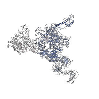 25829_7tdh_B_v1-2
Rabbit RyR1 with AMP-PCP and high Ca2+ embedded in nanodisc in open conformation