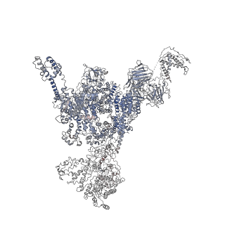 25829_7tdh_C_v1-2
Rabbit RyR1 with AMP-PCP and high Ca2+ embedded in nanodisc in open conformation