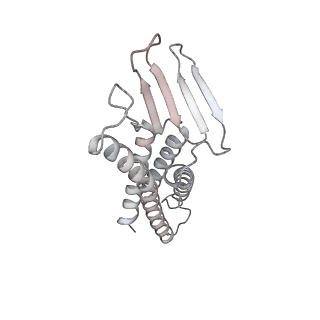 25835_7tdn_A_v1-3
CryoEM Structure of sFab COP-3 Complex with human claudin-4 and Clostridium perfringens enterotoxin C-terminal domain