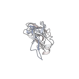 25835_7tdn_H_v1-3
CryoEM Structure of sFab COP-3 Complex with human claudin-4 and Clostridium perfringens enterotoxin C-terminal domain