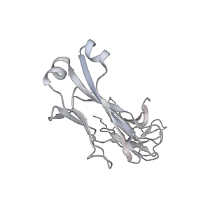 25835_7tdn_L_v1-3
CryoEM Structure of sFab COP-3 Complex with human claudin-4 and Clostridium perfringens enterotoxin C-terminal domain