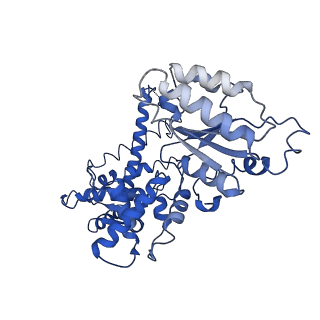 25837_7tdo_A_v1-0
Cryo-EM structure of transmembrane AAA+ protease FtsH in the ADP state