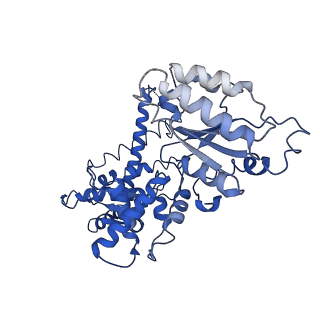 25837_7tdo_A_v1-1
Cryo-EM structure of transmembrane AAA+ protease FtsH in the ADP state