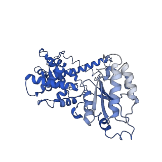 25837_7tdo_B_v1-0
Cryo-EM structure of transmembrane AAA+ protease FtsH in the ADP state