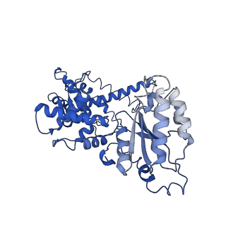 25837_7tdo_B_v1-1
Cryo-EM structure of transmembrane AAA+ protease FtsH in the ADP state