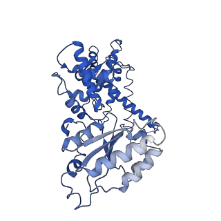 25837_7tdo_C_v1-1
Cryo-EM structure of transmembrane AAA+ protease FtsH in the ADP state