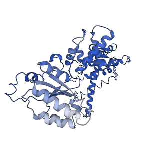 25837_7tdo_D_v1-0
Cryo-EM structure of transmembrane AAA+ protease FtsH in the ADP state