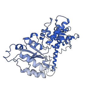 25837_7tdo_D_v1-1
Cryo-EM structure of transmembrane AAA+ protease FtsH in the ADP state