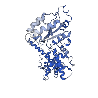 25837_7tdo_E_v1-0
Cryo-EM structure of transmembrane AAA+ protease FtsH in the ADP state
