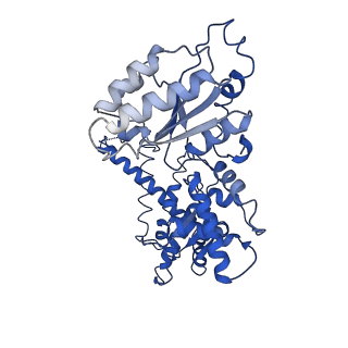 25837_7tdo_E_v1-1
Cryo-EM structure of transmembrane AAA+ protease FtsH in the ADP state