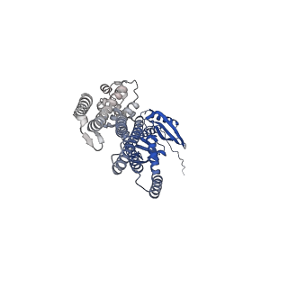 41164_8tdj_B_v1-0
Cryo-EM structure of the wild-type AtMSL10 in GDN