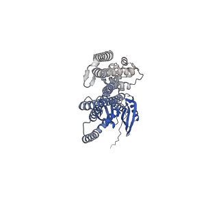 41164_8tdj_C_v1-0
Cryo-EM structure of the wild-type AtMSL10 in GDN