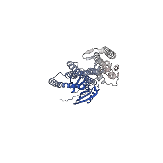 41164_8tdj_D_v1-0
Cryo-EM structure of the wild-type AtMSL10 in GDN