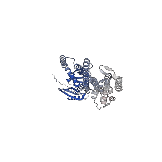 41164_8tdj_E_v1-0
Cryo-EM structure of the wild-type AtMSL10 in GDN