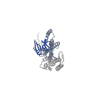 41164_8tdj_F_v1-0
Cryo-EM structure of the wild-type AtMSL10 in GDN