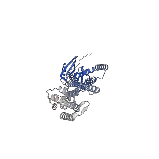 41164_8tdj_G_v1-0
Cryo-EM structure of the wild-type AtMSL10 in GDN
