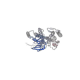 41165_8tdk_B_v1-0
Cryo-EM structure of AtMSL10-G556V