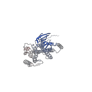 41165_8tdk_E_v1-0
Cryo-EM structure of AtMSL10-G556V