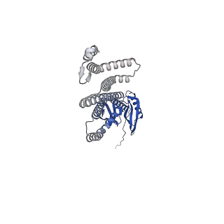 41166_8tdl_C_v1-0
Cryo-EM structure of the wild-type AtMSL10 in saposin