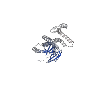 41166_8tdl_D_v1-0
Cryo-EM structure of the wild-type AtMSL10 in saposin