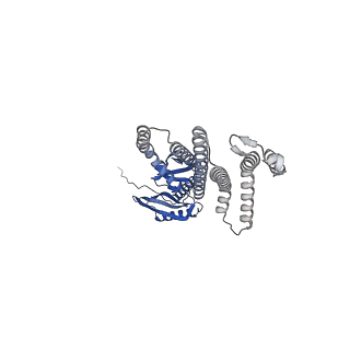 41166_8tdl_E_v1-0
Cryo-EM structure of the wild-type AtMSL10 in saposin