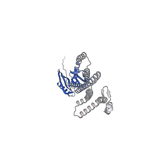 41166_8tdl_F_v1-0
Cryo-EM structure of the wild-type AtMSL10 in saposin
