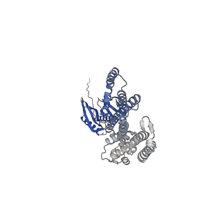 41168_8tdm_F_v1-0
Cryo-EM structure of AtMSL10-K539E