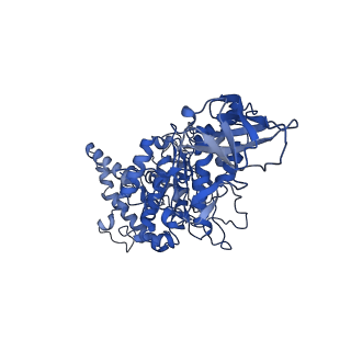 10473_6te0_A_v1-0
Cryo-EM structure of Euglena gracilis mitochondrial ATP synthase, OSCP/F1/c-ring, rotational state 3