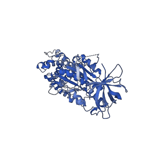 10473_6te0_C_v1-0
Cryo-EM structure of Euglena gracilis mitochondrial ATP synthase, OSCP/F1/c-ring, rotational state 3