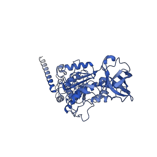 10473_6te0_D_v1-0
Cryo-EM structure of Euglena gracilis mitochondrial ATP synthase, OSCP/F1/c-ring, rotational state 3