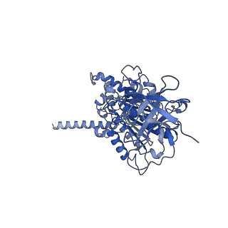 10473_6te0_E_v1-0
Cryo-EM structure of Euglena gracilis mitochondrial ATP synthase, OSCP/F1/c-ring, rotational state 3