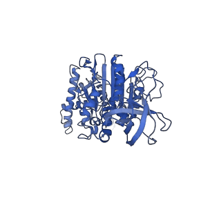 10473_6te0_F_v1-0
Cryo-EM structure of Euglena gracilis mitochondrial ATP synthase, OSCP/F1/c-ring, rotational state 3